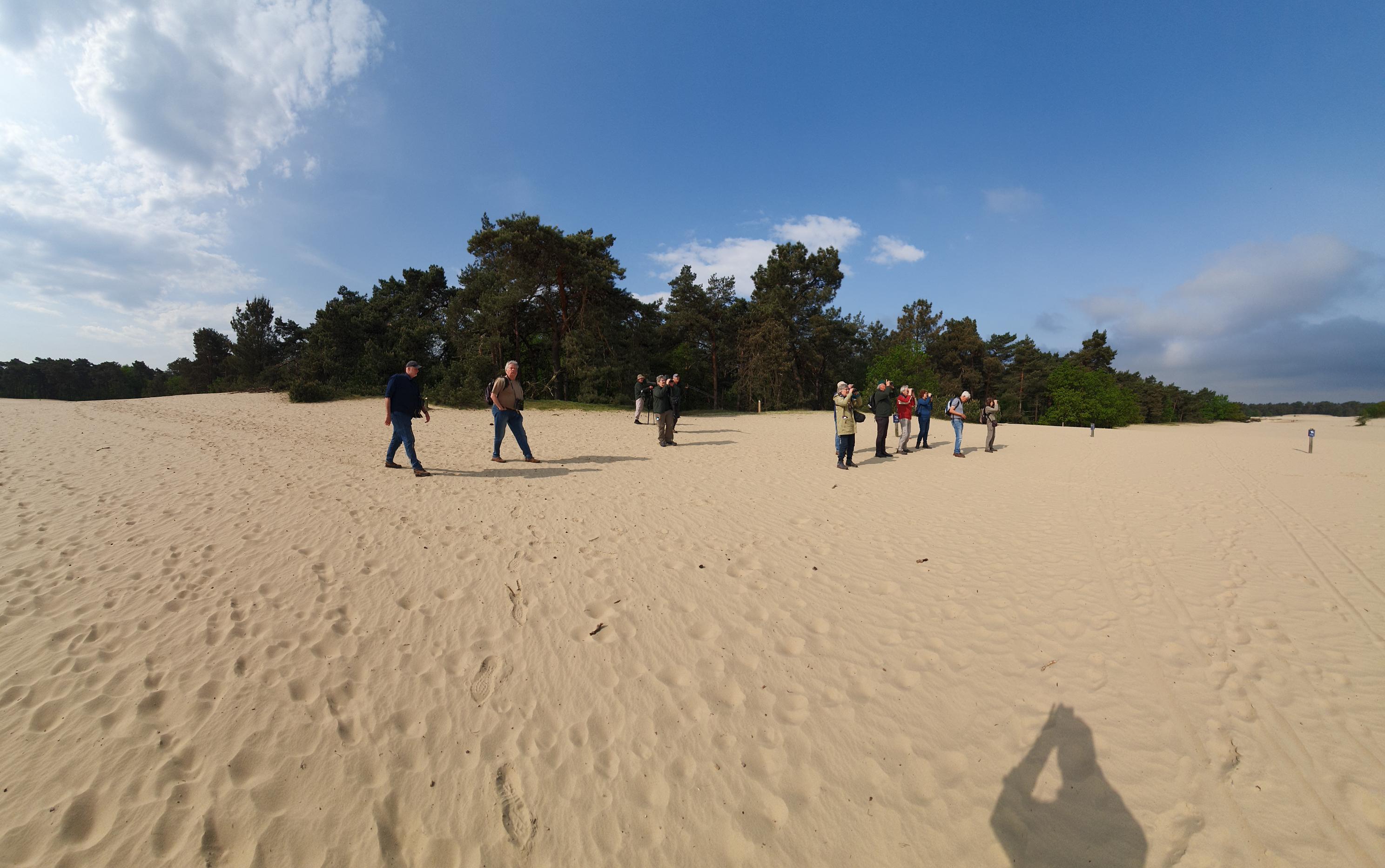 Vogelaars (Loonse En Drunense Duinen). Foto van Johan Meijer.